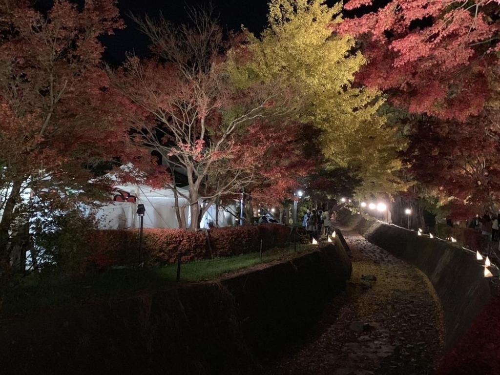 Hotel Koryu Autumn Night Path
