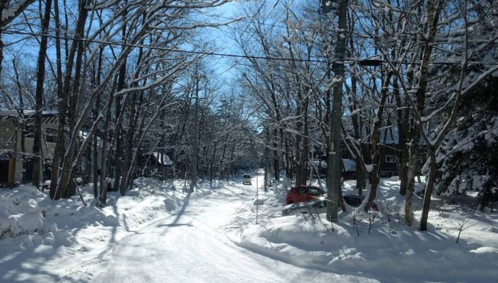 Hotel Oak Forest Snowy Road