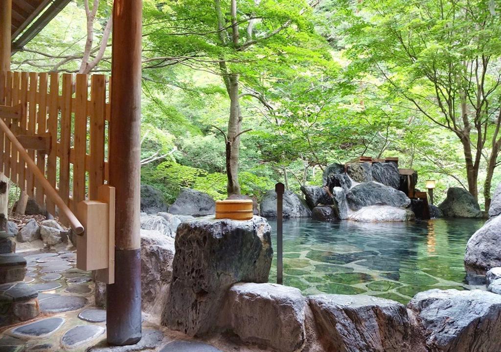 Hotel Yunishigawa Outdoor Onsen