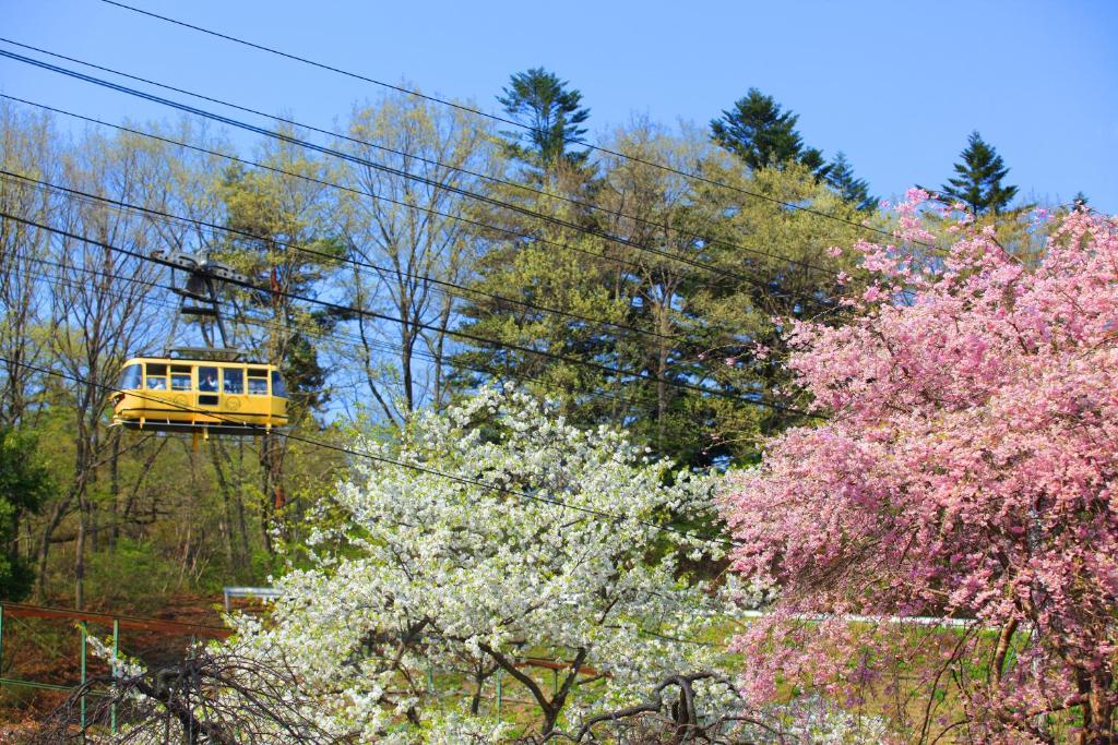 Ikoinomura Heritage Minoyama Ropeway Cherry Blossoms