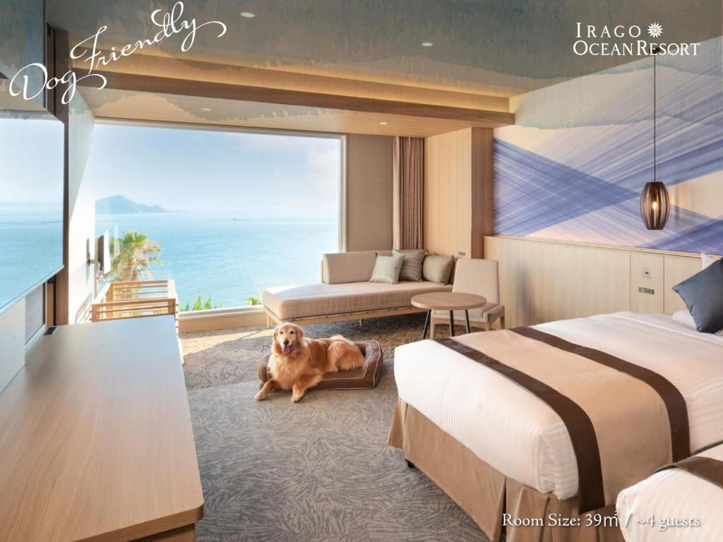 Irago Ocean Resort Dog Friendly Ocean View Room