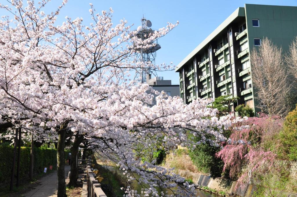 Ito Yukitei Cherry Blossoms Exterior