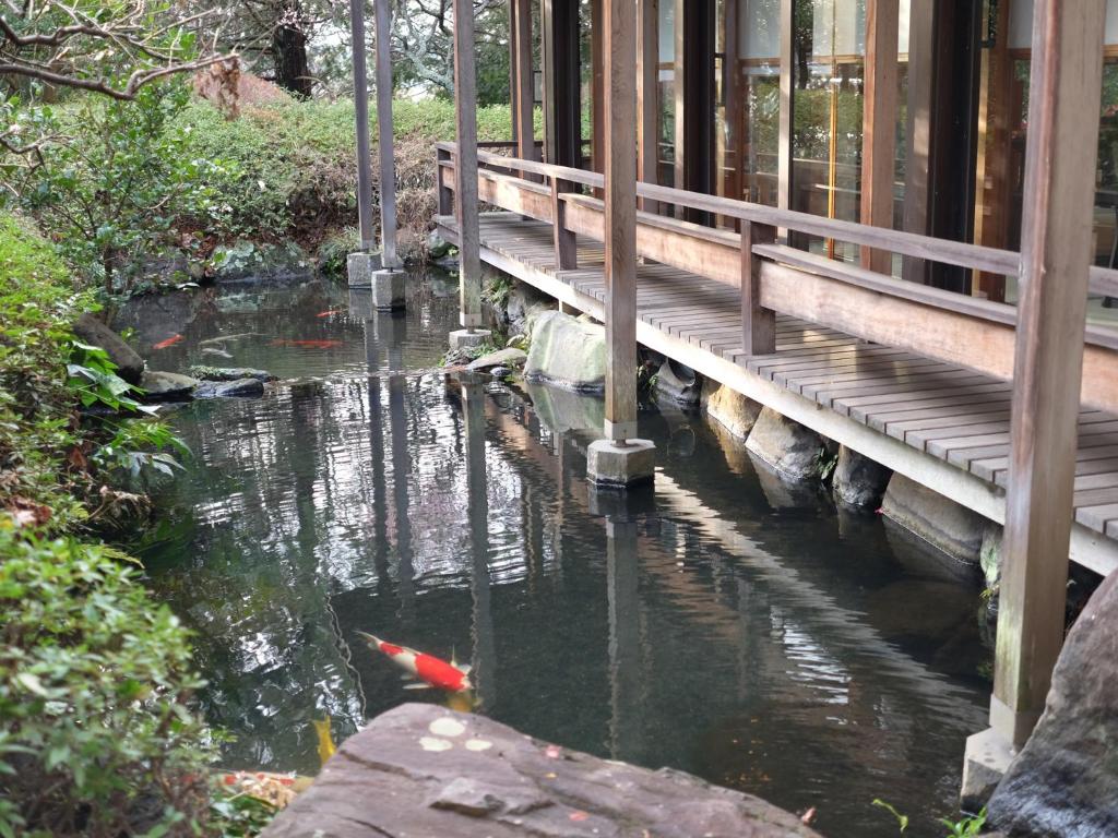 Izu Daisenya Koi Pond Walkway