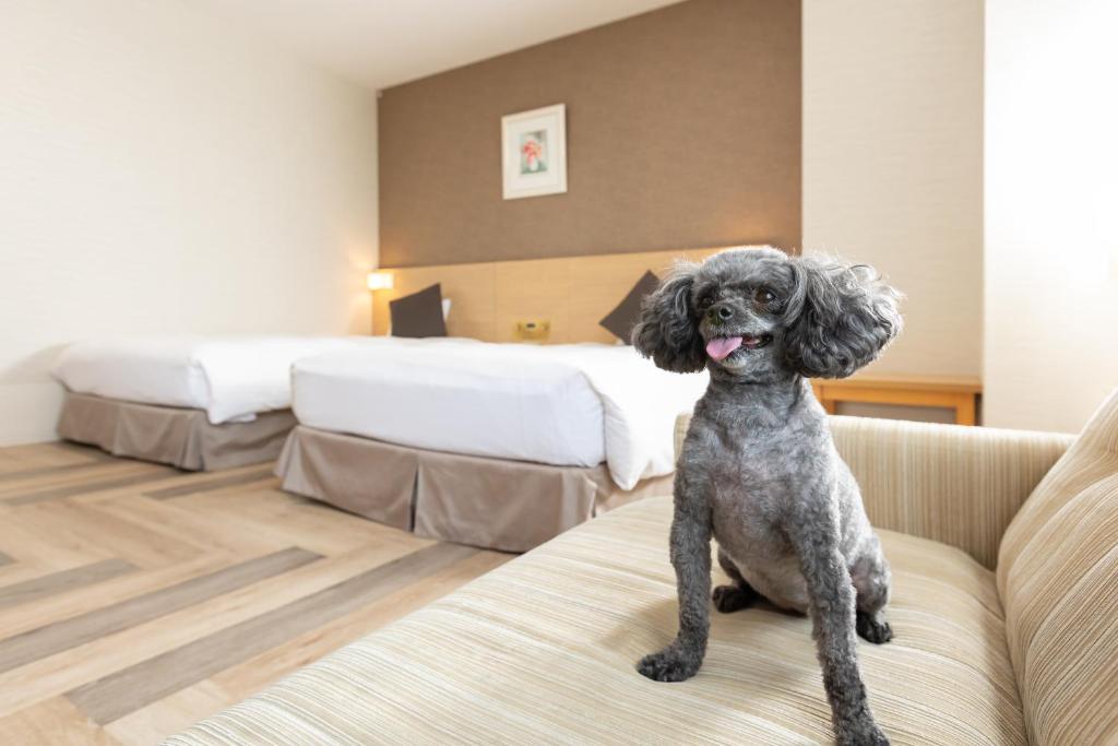Kamenoi Hotel Chita Mihama Pet Friendly Twin Room