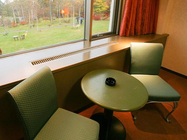 Kiyosato Kogen Hotel Window Seating
