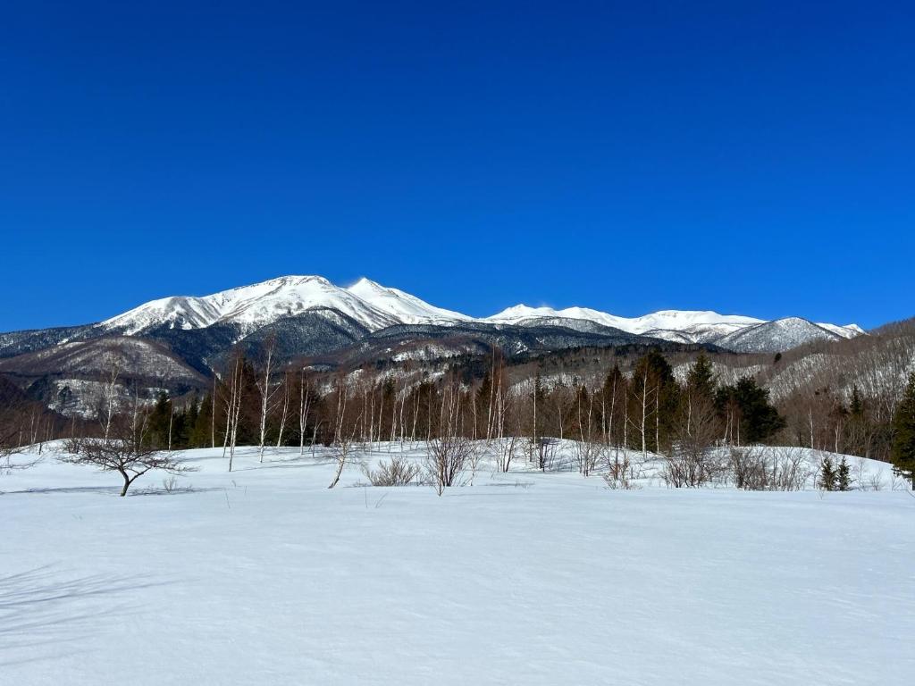 Komakusa Hotel Snowy Mountain View