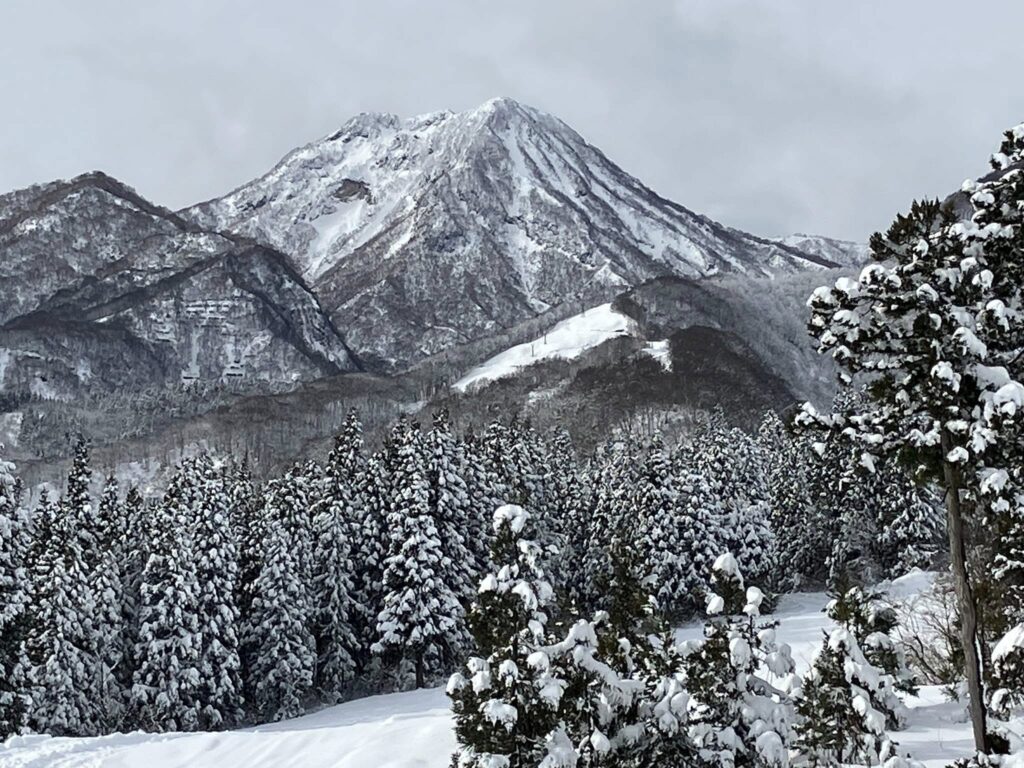 Komatsuya Ryokan Snowy Mountain View