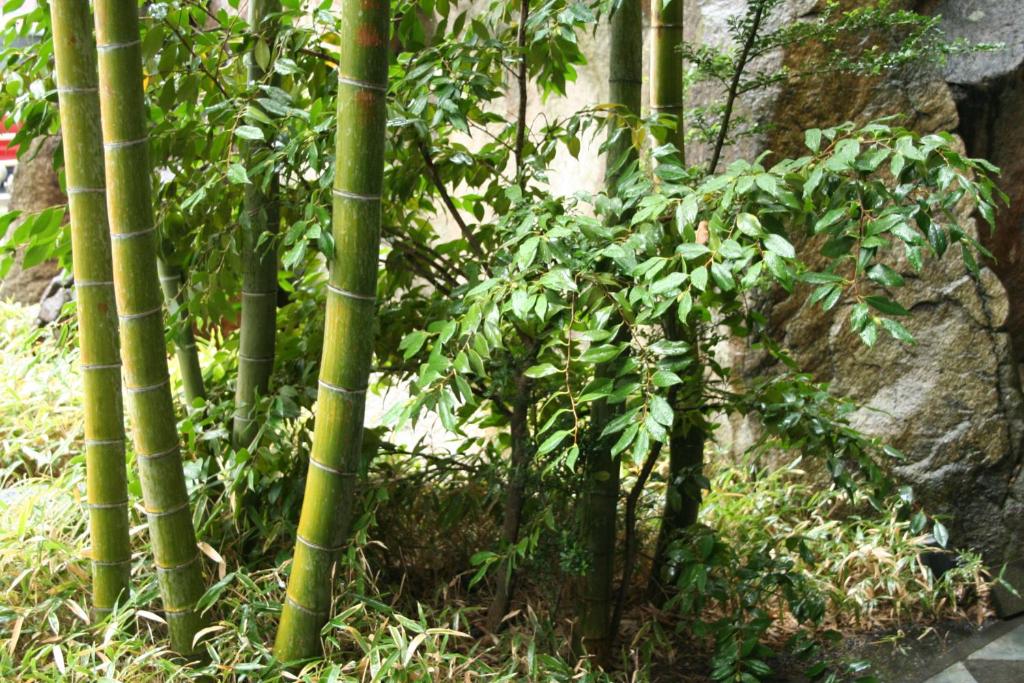 Konaya Hotel Bamboo Garden