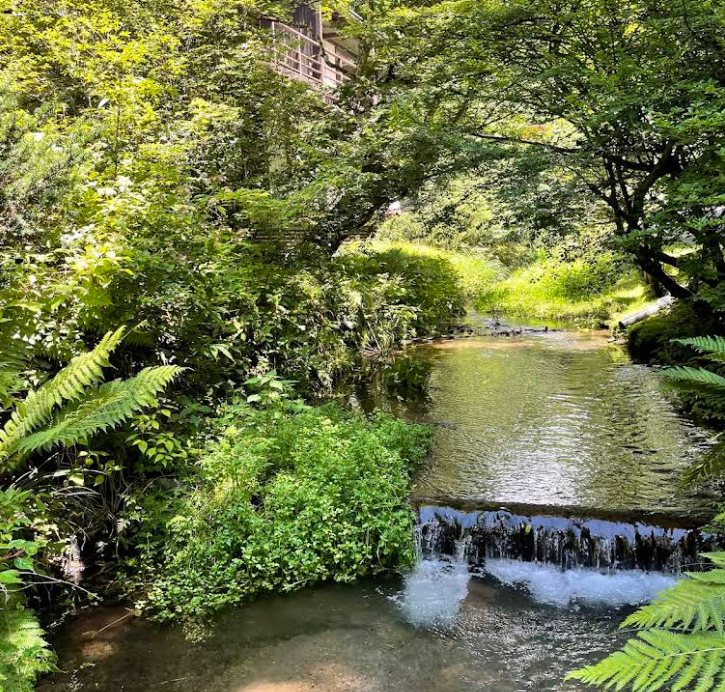 Kose Onsen Hotel Forest Stream