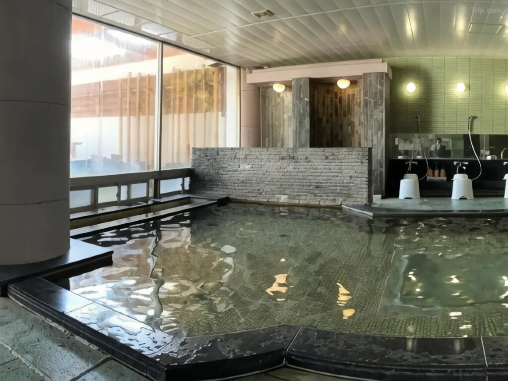 Mikawa Bay Resort Linx Indoor Onsen Bath