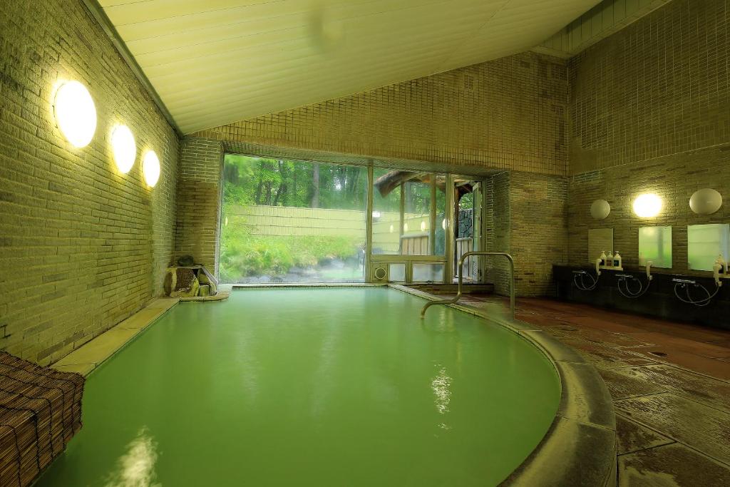 Nikko Astraea Hotel Indoor Onsen Bath