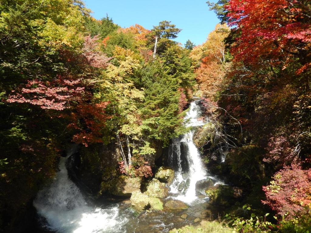 Nikko Astraea Hotel Waterfall Autumn Foliage