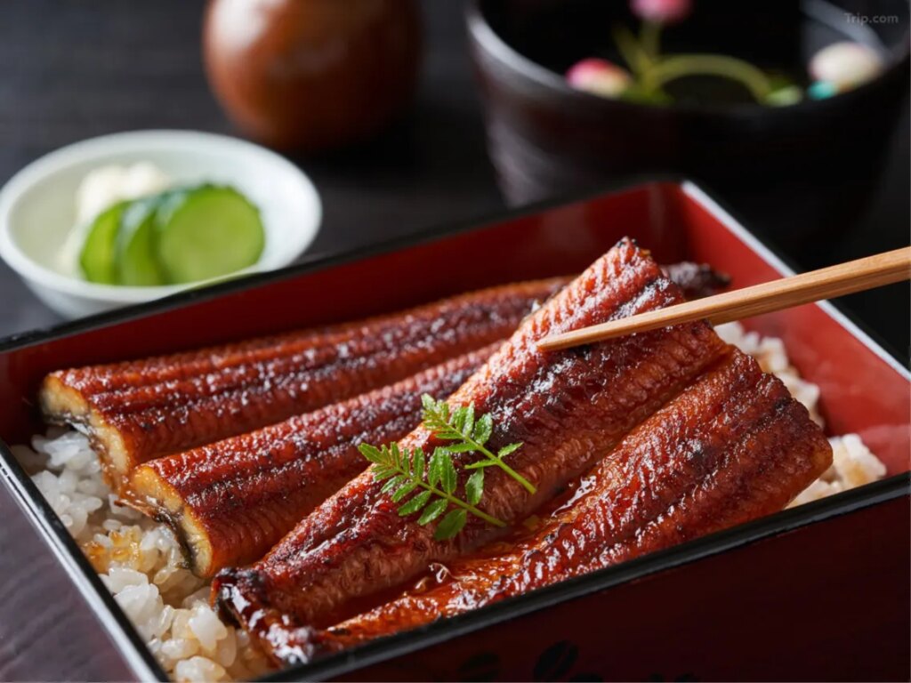 Ryokan Hanaya Unagi Rice