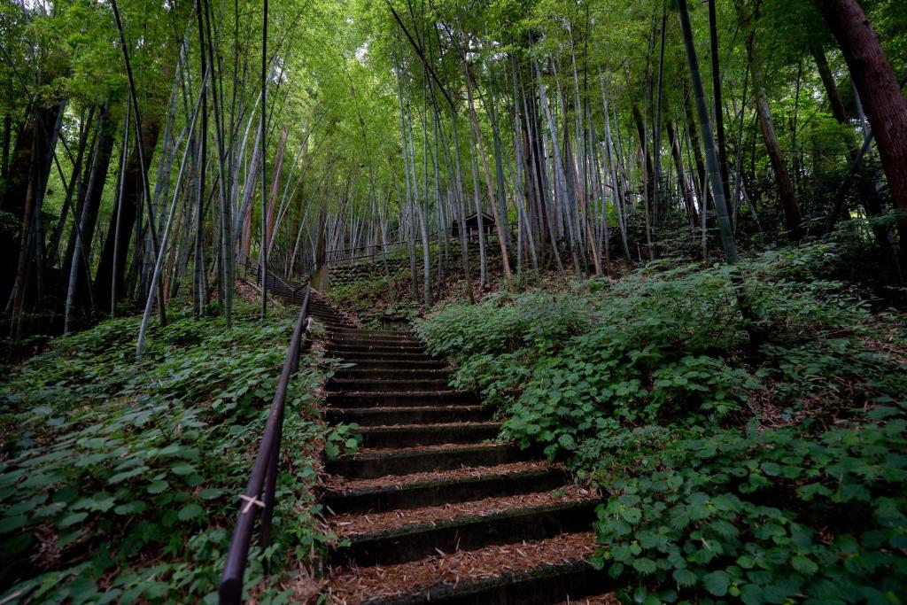 Sakahijiri Nikko Bamboo Forest Stairs