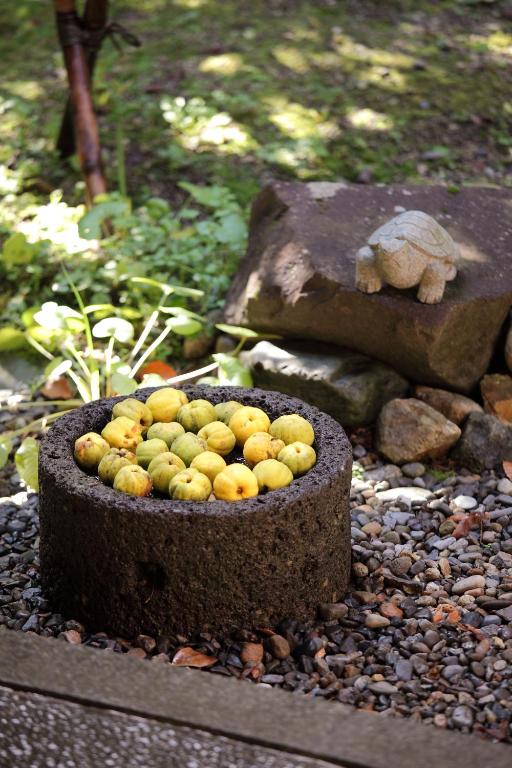 Senkyo Garden Stone Basin Fruit
