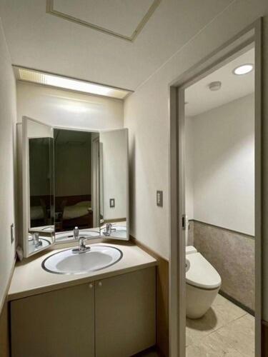 Shichifukuso Bathroom Vanity Toilet