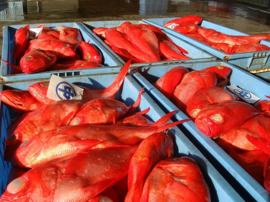 Shimoda Shirahama Coast Resort Red Fish Market