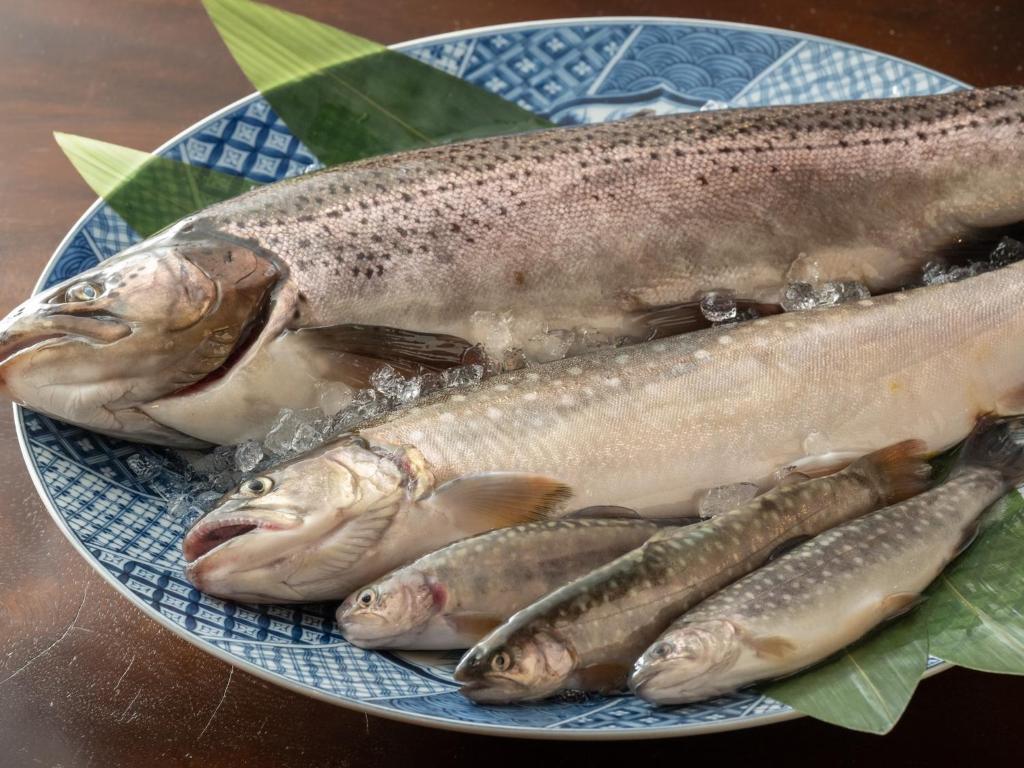 Shirahone Onsen Tsuruya Ryokan Fresh River Fish Platter