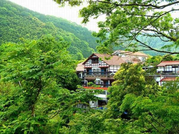 Shirakabe Ryokan Forest Exterior