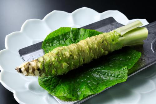 Shirakabe Wasabi Root