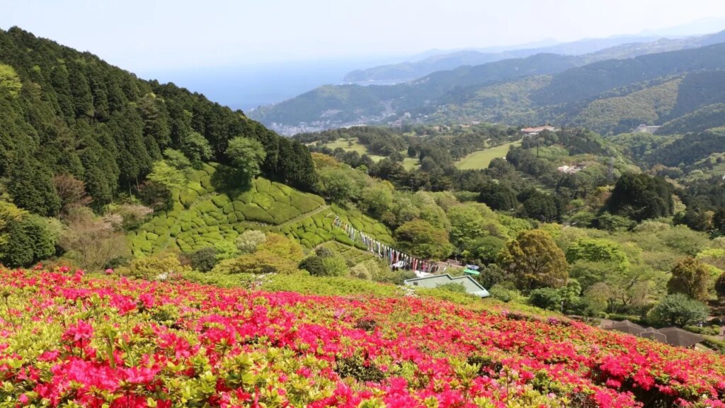 Soki Atami Mountain Garden View