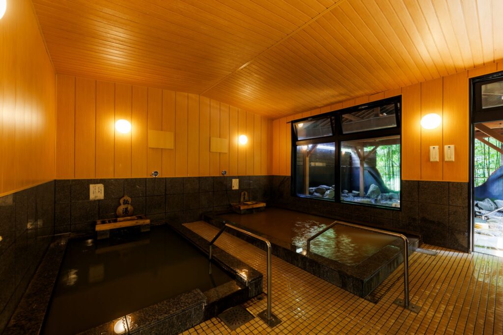 Sugatani Onsen Indoor Bath