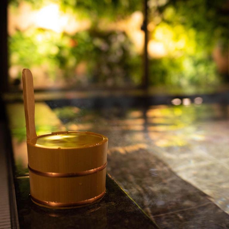 Super Hotel Premier Ginza Onsen Bath