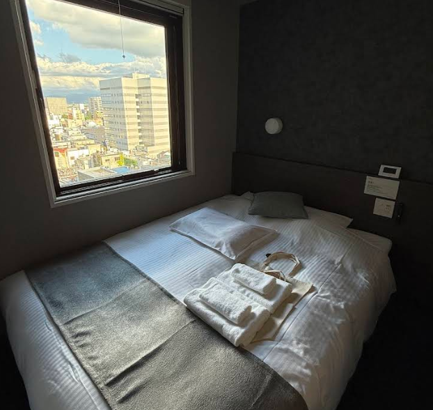 Super Hotel Premier Toyama Johshi Koen Mae Double Room