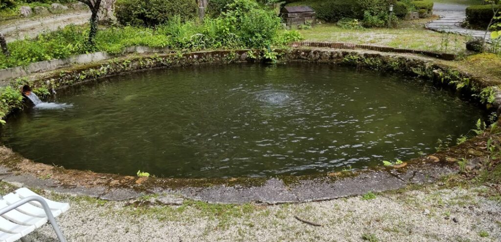 Takimi House Garden Pond