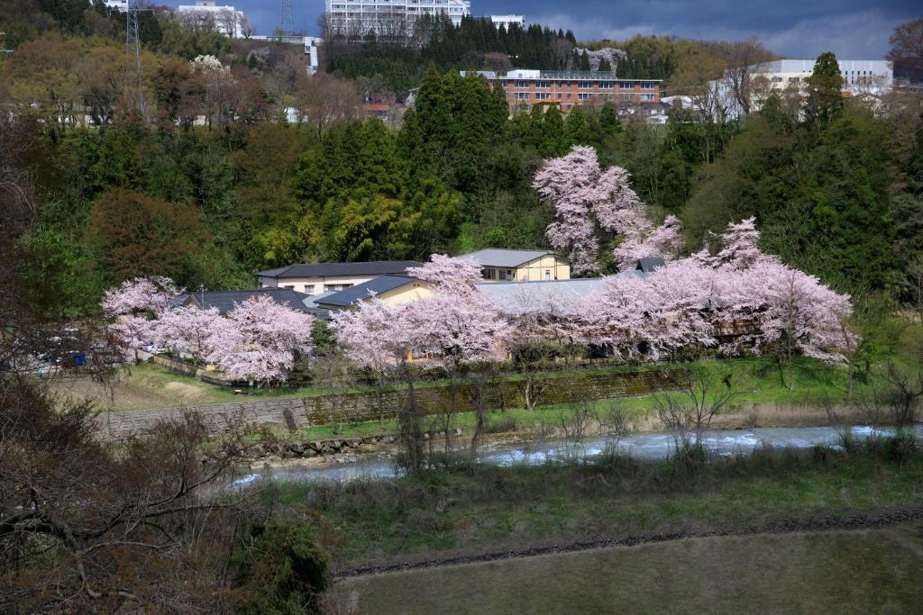 Takitei Ryokan Cherry Blossom Riverside