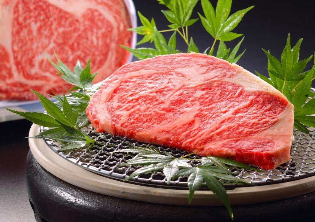 Tokiwa No Yado Hamatoku Wagyu Beef
