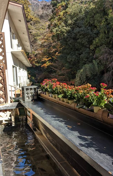 Tsukubasan Edoya Outdoor Onsen