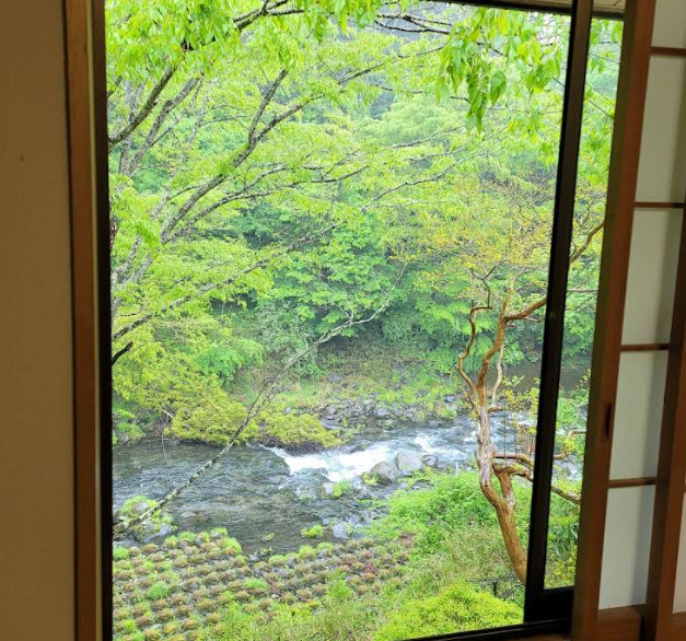 Turtle Inn Nikko Annex Hotori An River View