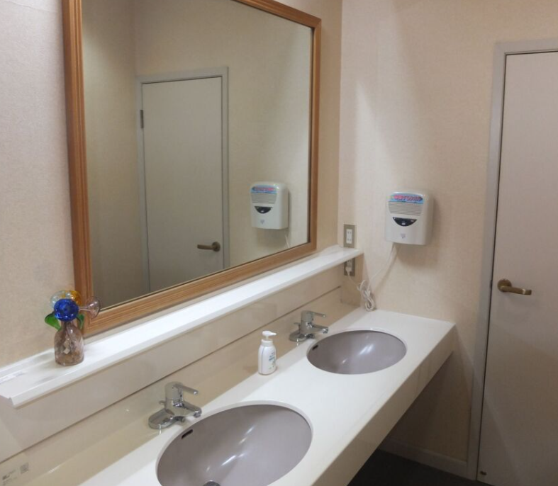 Turtle Inn Nikko Double Sink Bathroom