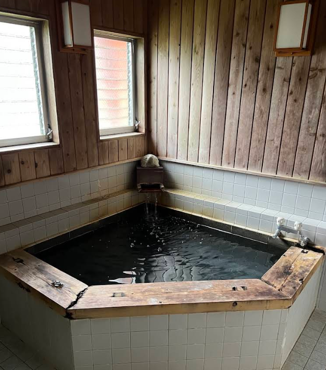 Turtle Inn Nikko Private Bath