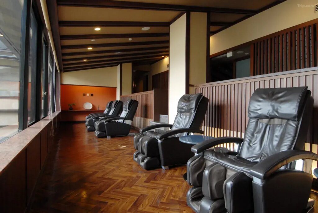 Ubuya Relaxation Lounge Massage Chairs