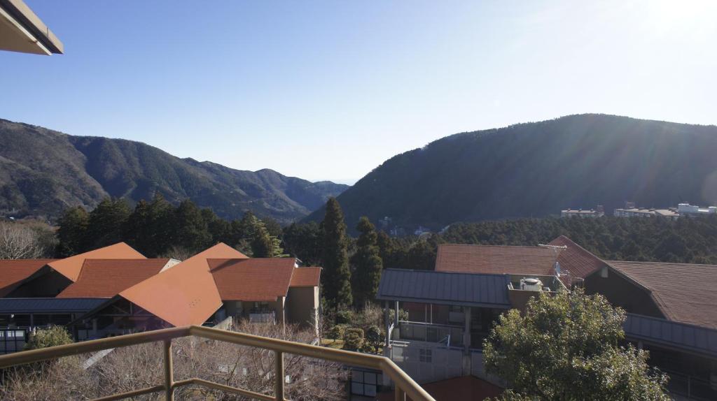 Wisterian Life Club Forest Of Verde Mountain View