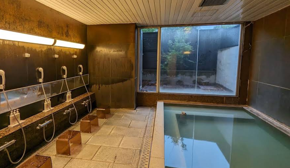 Wpu Hakone Indoor Onsen Bath