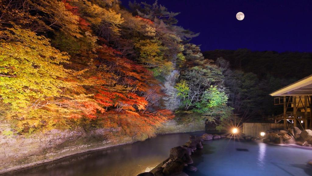 Yunomori Hotel Shidotaira Open Air Bath Night