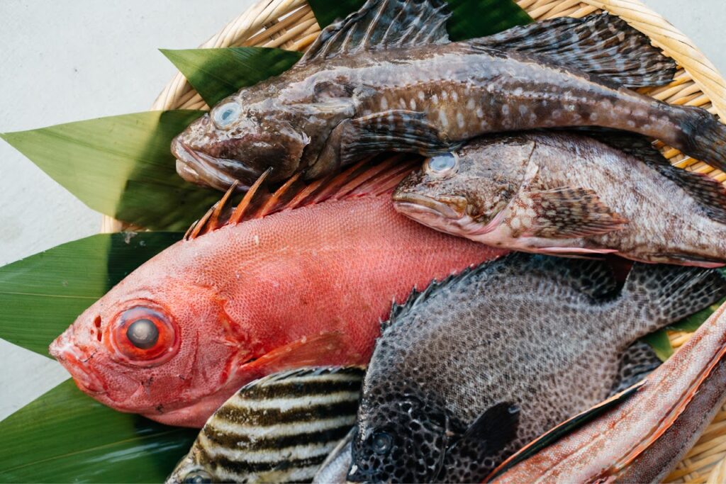 Yuzuki Old Folk House Fresh Fish Platter