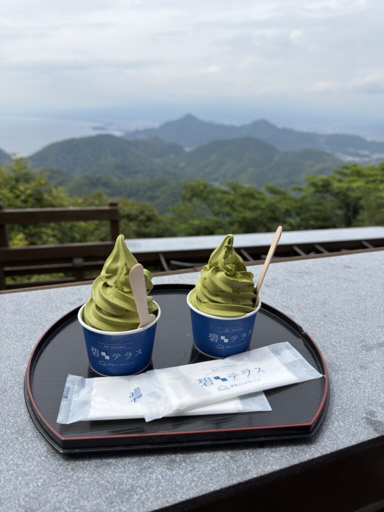 Izu Nagaoka Izu terrace views