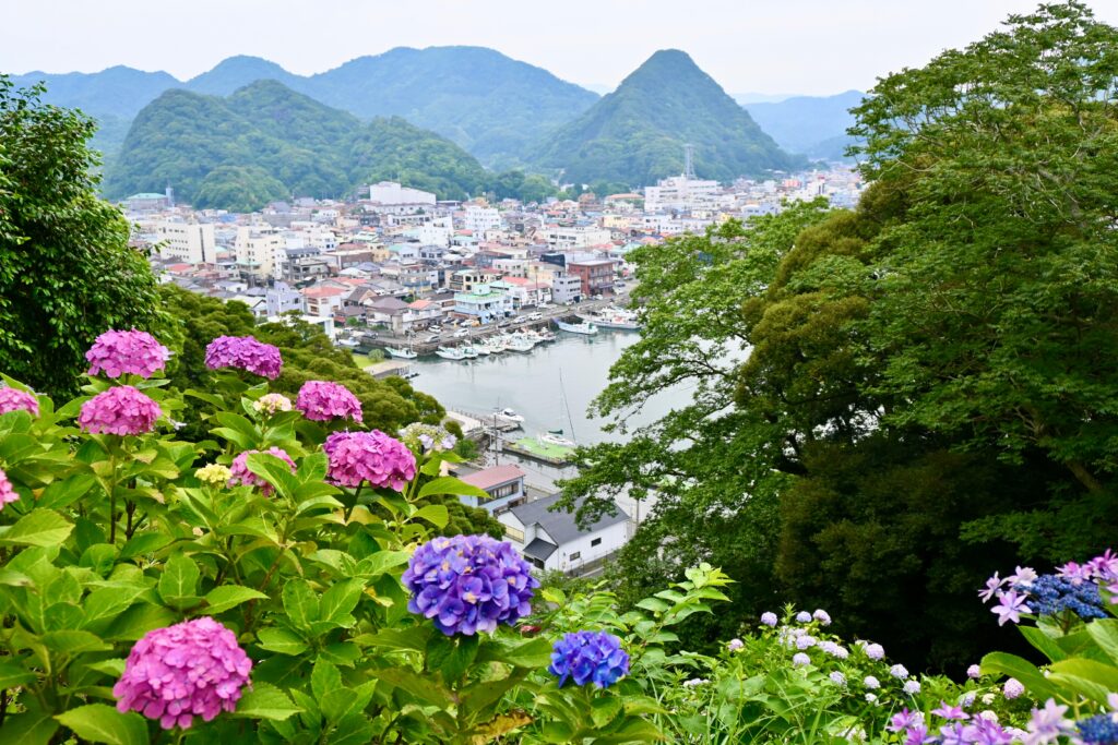 Shimoda hydrangea park with views of the city
