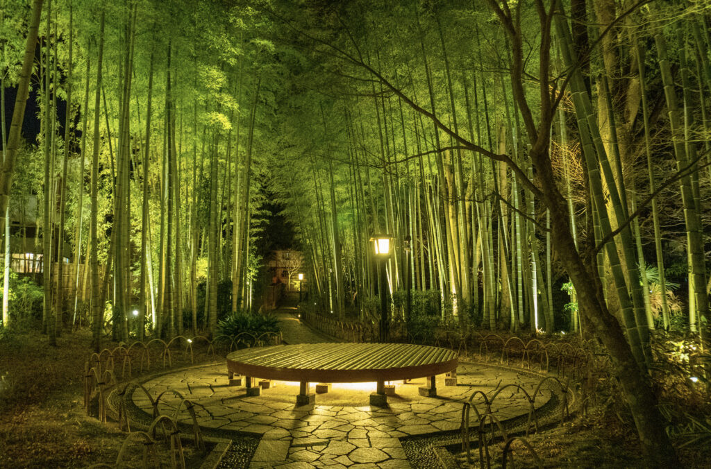 Shuzenji bamboo forest at night