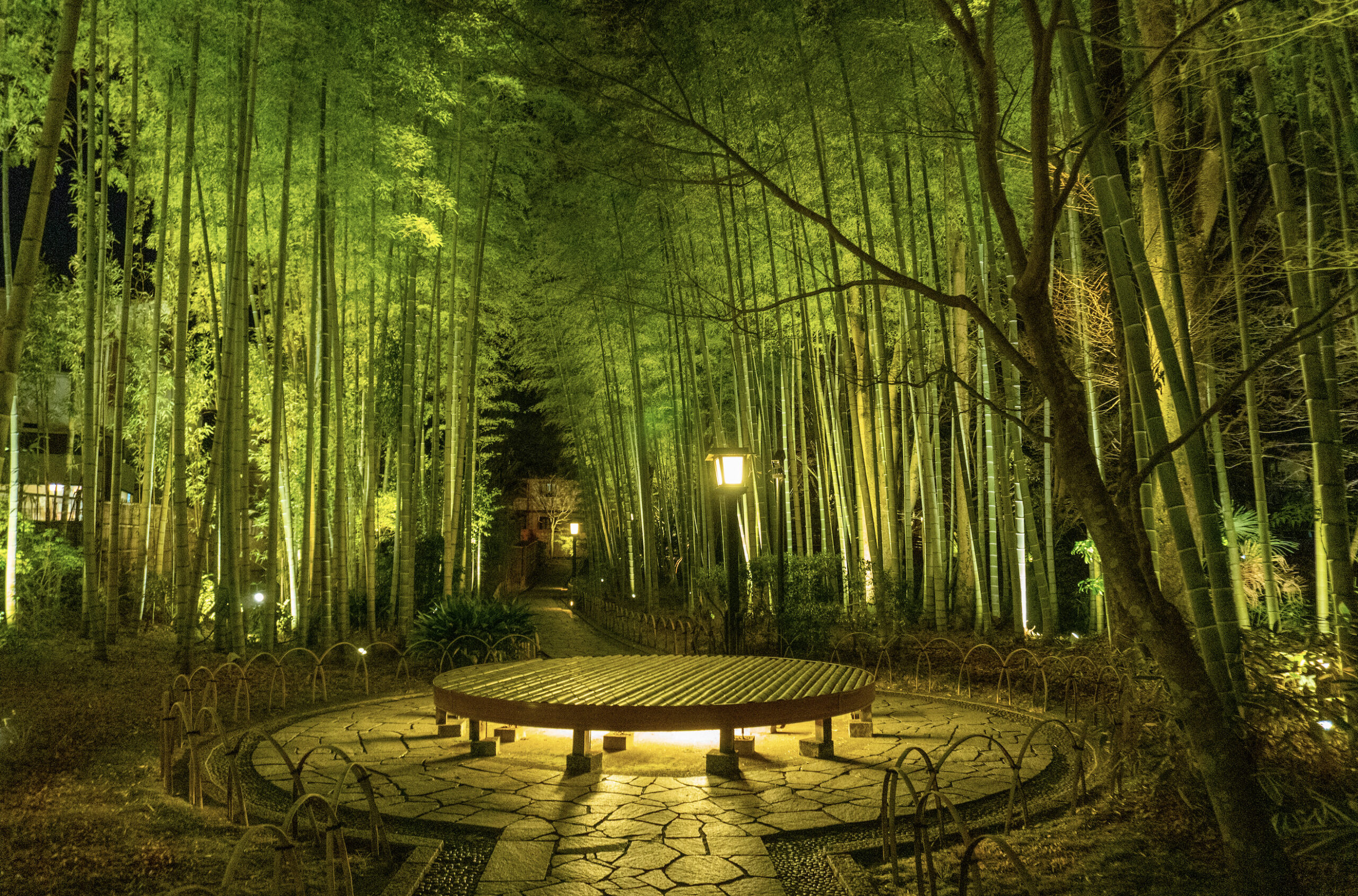 Shuzenji bamboo forest at night