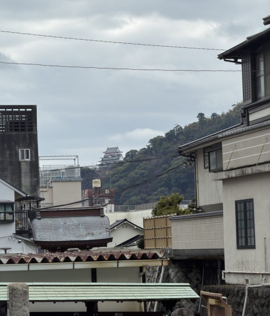 The town of Atami during February