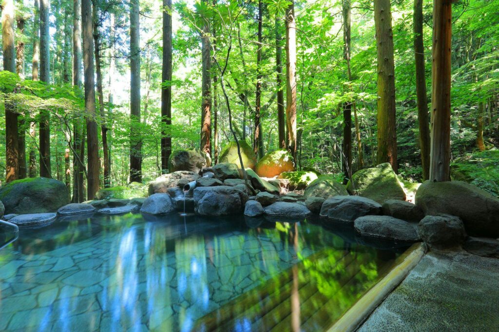 Forest Open Air Bath With Reflection