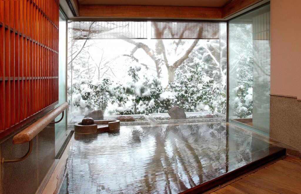 Indoor Bath With Snowy Forest View