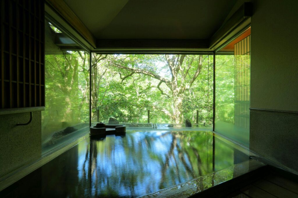 Open Air Bath With Forest View From The Room