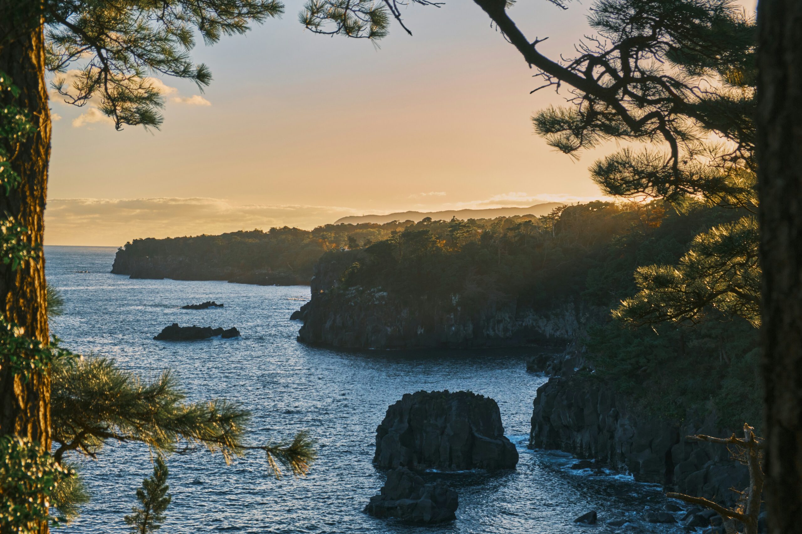 Jogasaki Coast, Futo, Itō, Shizuoka