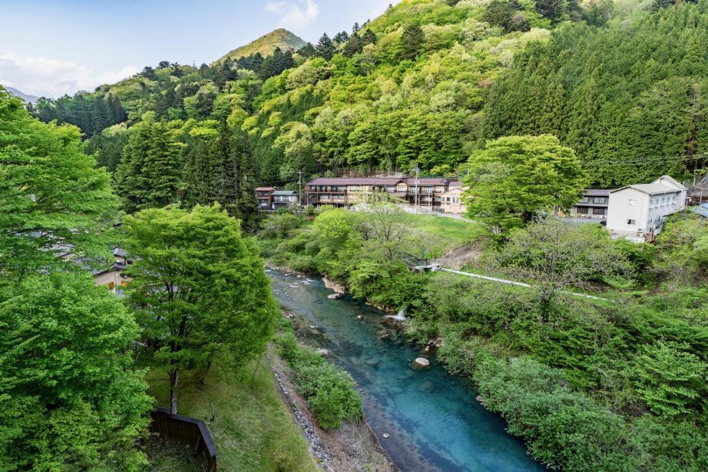 Shima Onsen Kashiwaya Ryokan views and forested areas
